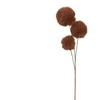 Nežinomas Dirbtinė šakelė Decoris Fur, ruda, 70 cm