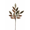 None Nežinomas Dirbtinė šakelė, lauramedis, aukso sp., 73 cm