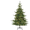 Artificial Christmas medžio Kiens Fir 670280. 210 cm. with LED