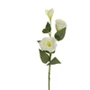 None Nežinomas Dirbtinė gėlė, eustoma, balta sp., 71 cm
