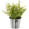 ATMOSPHERA Dirbtinis augalas vazone, 17 cm