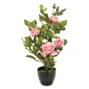 Kwiatydonice ATMOSPHERA Dirbtinis augalas vazone, įvairių spalvų, 50 cm