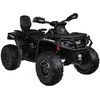 Import Super Toys Jokomisiada Baterija-powered quad for children 2 people CAN-AM OUTLANDER 4x4 LED panel PA0326