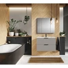 Bathroom cabinet with sink Elita Astra. pilkas. 40.5x80x53