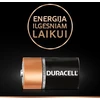 BATTERY DURACELL C&amp;B D MN1300 2TK