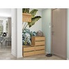 Top E Shop MODO X2 OAK ARTISAN SHOE CABINET
