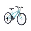 Kalnų dviratis/nesurinktas BOTTARI 24'' ratai