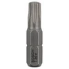 Bosch Torx antgalis T30, l=25mm 3 vnt, Extra Hart