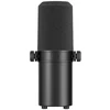 BOYA CastMic P60B studio microphone with arm, wired USB XLR - juodas