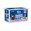 BRIT Premium by Nature Sterilizuotos lėkštės maišeliai su padažu, skonių mišinys - šlapias maistas katėms - 12x85g