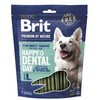 BRIT Premium Dog Snack Dental L - dog treat - 250g