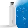 Brita sodaTRIO butelis (0,65 l; butelis)