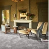 CARPET ROLL FLORIDA 91 5M(150