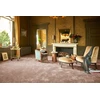 CARPETING FLORIDA 34 5M