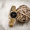 Casio moteriškas LTP-V005G-1B laikrodis + dėžutė