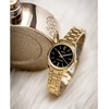 Casio moteriškas LTP-V005G-1B laikrodis + dėžutė