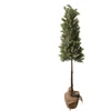 Mondex Christmas decoration Tree on stem. 106 cm