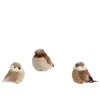 None Nežinomas Eglutės žaisliukas Decoris Bird, rudas, plastikas
