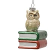 Nežinomas Eglutės žaisliukas Decoris Owl, įvairių spalvų, polistirenas