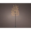 Decoration "wood" Lumineo 491628. 180cm. 720 LED. juodas