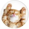 Popsockets PopGrip Basic Snoozy Cat