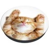 Popsockets PopGrip Basic Snoozy Cat
