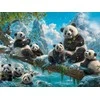 Castorland Panda 2000 dalių dėlionė C-201013-2 Žiemos linksmybės