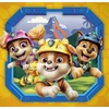 Dėlionė Clementoni Jigsaw Puzzle PAW PATROL 3X48