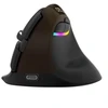 Delux M618Mini Gold Ergonomic Pelė (USB / Bluetooth / 2.4G)