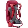 Deuter AC Lite 24 žygio kuprinė 24 l (vyšnių/masala spalvos)