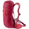 Deuter AC Lite 24 žygio kuprinė 24 l (vyšnių/masala spalvos)