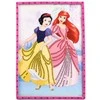 1Punkt „Disney“ princesių kūrybinis deimantinis pjaustymo popierius ZA5130