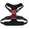Oem Dog harness OXFORD A dydis S red juodas