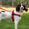 Oem Dog harness REFLECTIVE SILK dydis XL red