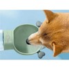 Oem Dog outdoor drinking cup žalias