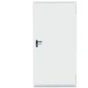 DOOR STEEL T30-1 1000X2100 RAL9002