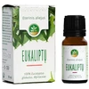 Eukaliptų eterinis aliejus Mėta, 10 ml