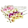Emivela Dirbtinė orchidėja, 70 cm