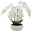 Emivela Dirbtinė orchidėja vazone 70cm/5 šakelės