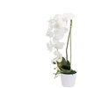 Emivela Artificial orchid in a pot 50x15x15cm