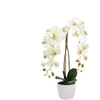 Emivela Dirbtinė orchidėja vazone, 65 cm