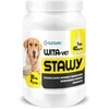 EUROWET Wita-Vet Joints - papildai šunims - 30 tablečių