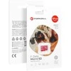 FORCELL F-DATA atminties kortelė 64GB UHS-I U3 10 klasė