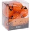 Nežinomas GIRLIANDA LED PUMPKIN 10LED