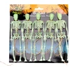 Party Deco Nežinomas GIRLIANDA SKELETAI FOSFORINĖ 152CM