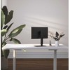 Laikiklis Gembird MS-D1ST-02 Height adjustable full-motion monitorius desk stand, 17"-32", juodas