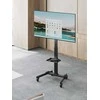 Laikiklis Gembird Stojak pod telewizor su regulacją aukščio, mobilny, na kółkach, 32'' - 55''