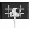 Stojak pod telewizor, 37'' - 86'', balta