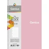 genius Sąsiuvinis Schoolboy, B5, 80 lapų, 70 gsm, langeliais
