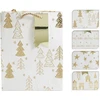 None Gift bag AB8800810. 18 cm x 23 cm